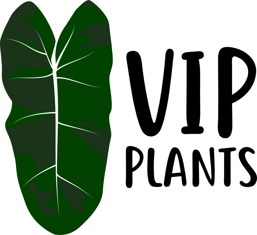VIP Plants