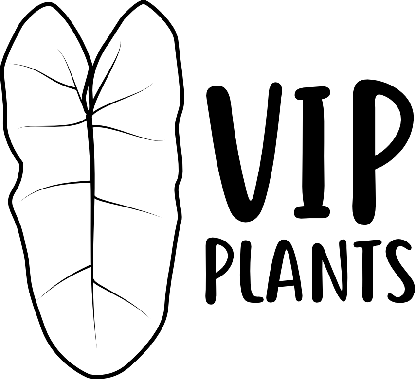 VIP Plants